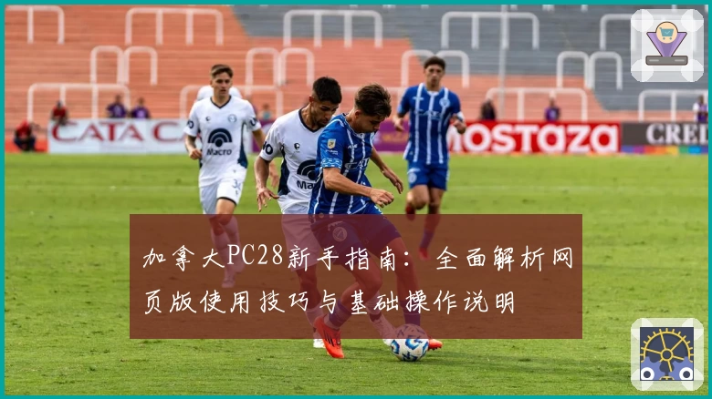 加拿大PC28新手指南：全面解析网页版使用技巧与基础操作说明