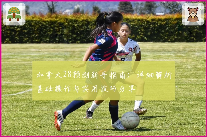 加拿大28预测新手指南：详细解析基础操作与实用技巧分享