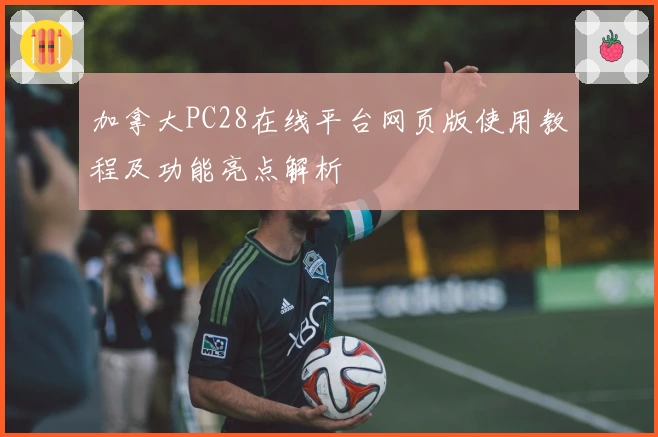 加拿大PC28在线平台网页版使用教程及功能亮点解析