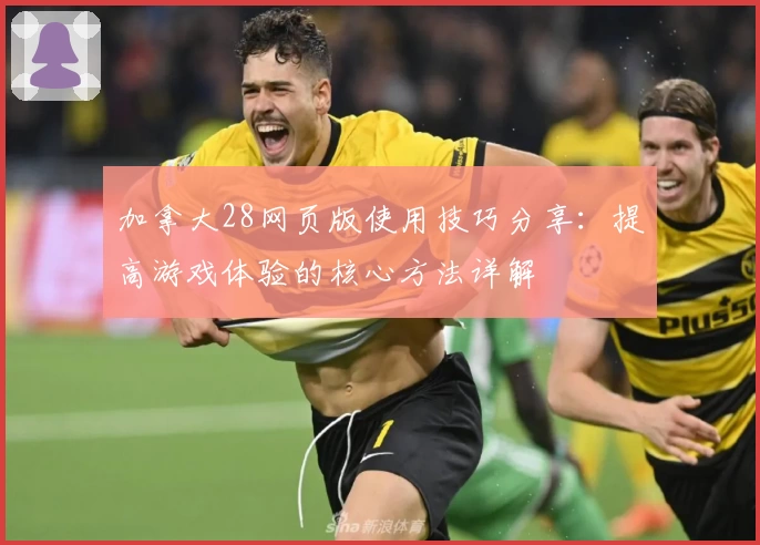 加拿大28网页版使用技巧分享：提高游戏体验的核心方法详解