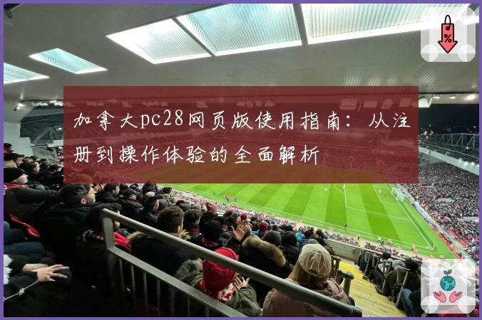 加拿大pc28网页版使用指南：从注册到操作体验的全面解析