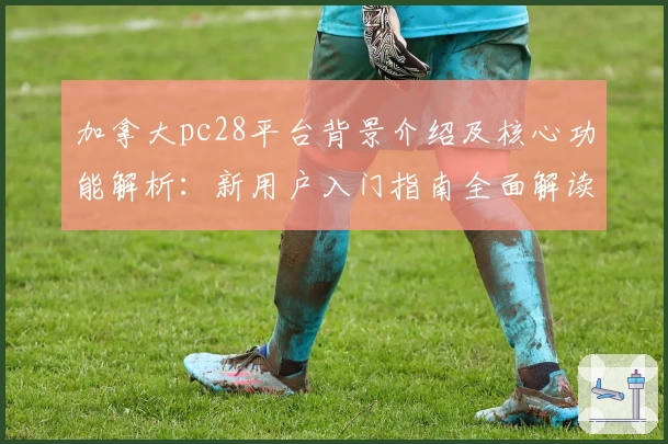 加拿大pc28平台背景介绍及核心功能解析：新用户入门指南全面解读