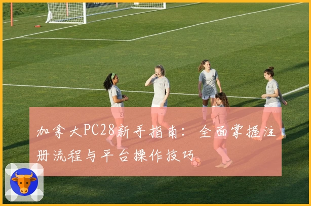 加拿大PC28新手指南：全面掌握注册流程与平台操作技巧