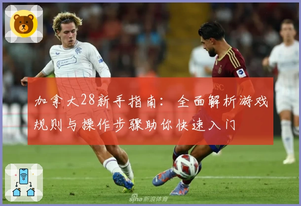 加拿大28新手指南：全面解析游戏规则与操作步骤助你快速入门