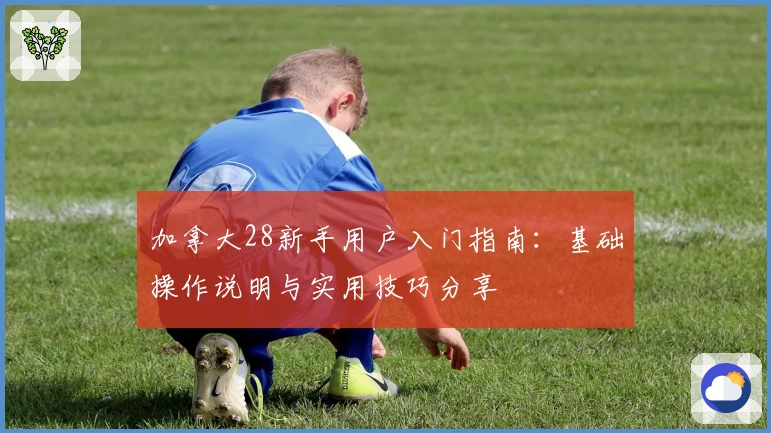 加拿大28新手用户入门指南：基础操作说明与实用技巧分享