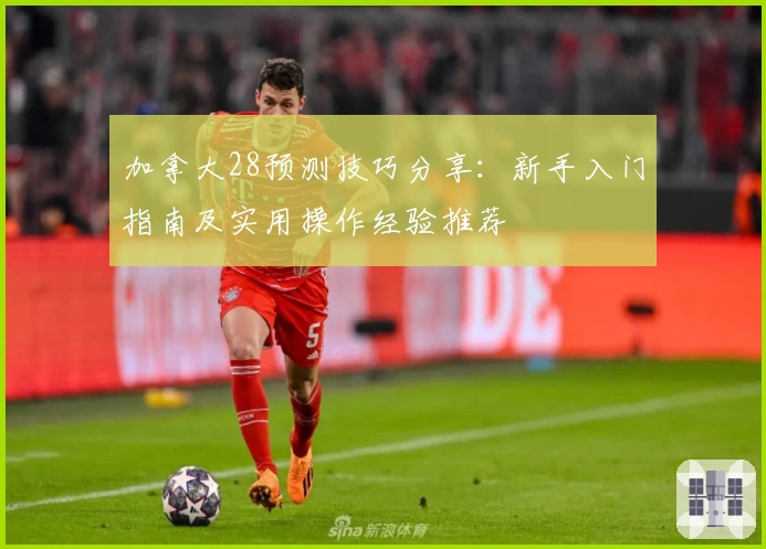 加拿大28预测技巧分享：新手入门指南及实用操作经验推荐