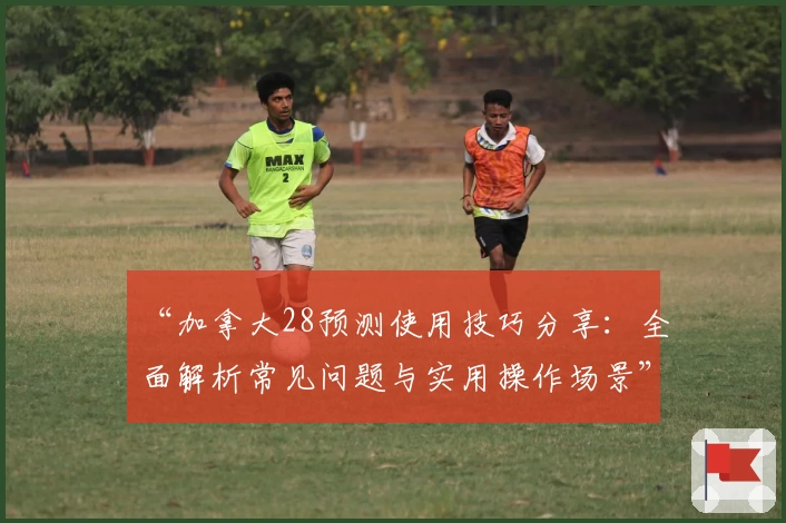 “加拿大28预测使用技巧分享：全面解析常见问题与实用操作场景”