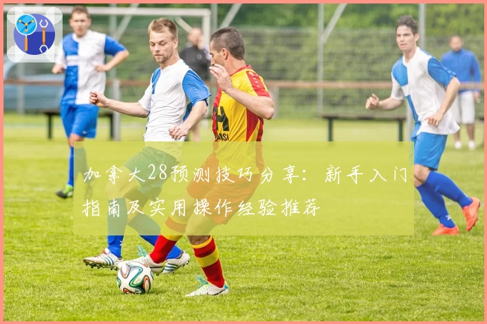 加拿大28预测技巧分享：新手入门指南及实用操作经验推荐